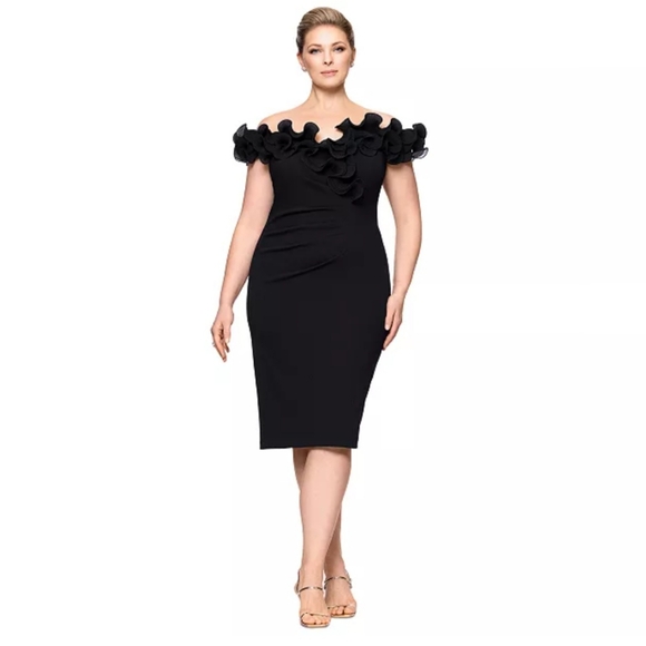 Women's Clothing (969) - Picture 1 of 8